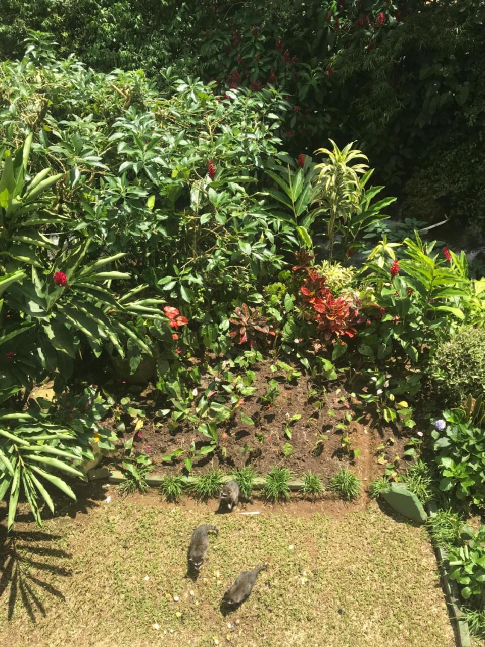 Hospedaje Angeluz Quesada  外观 照片